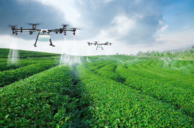4 Dampak Positif Keberadaan Teknologi untuk Pertanian